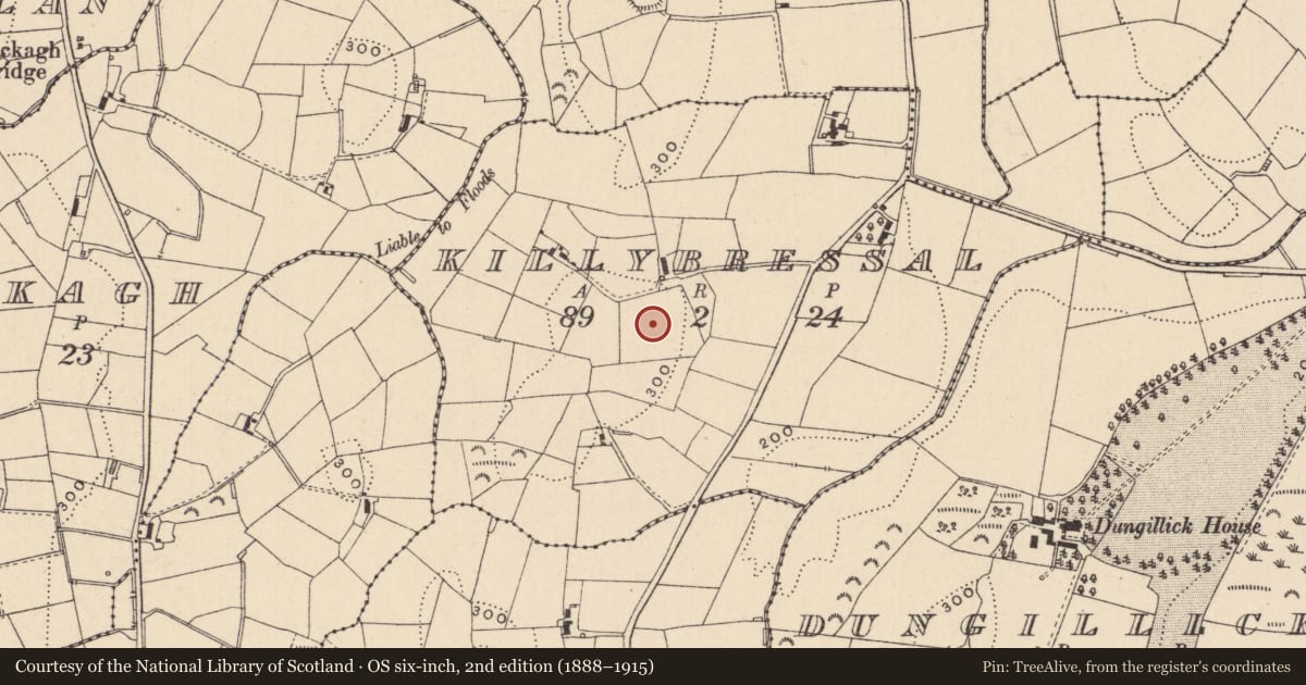 Ordnance Survey six-inch map, 2nd edition (1888–1915) covering the location of Ringfort - rath, Killybressal, County Monaghan, with a pin at the register's coordinates