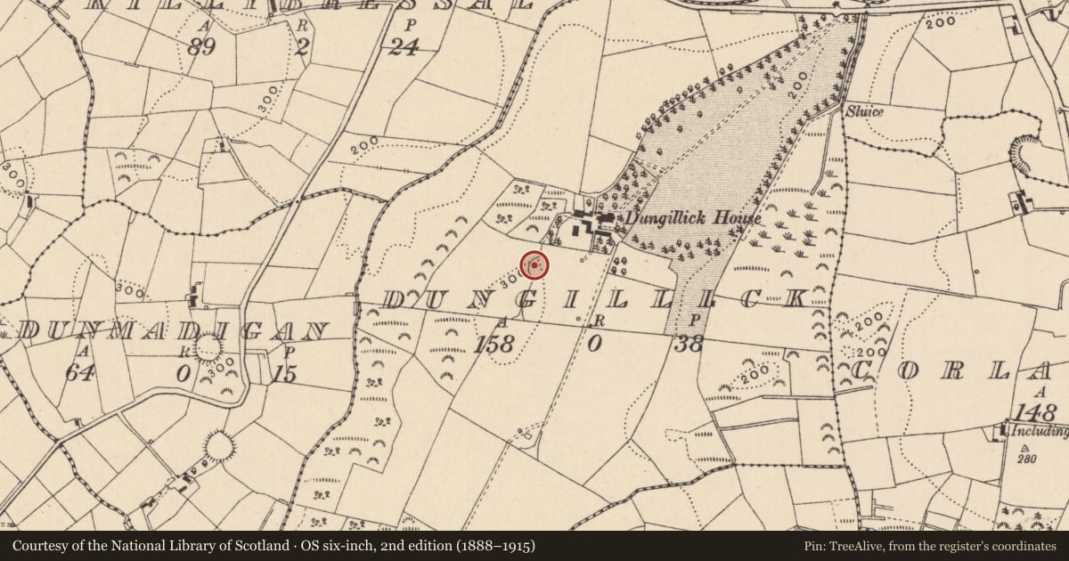 Ordnance Survey six-inch map, 2nd edition (1888–1915) covering the location of Ringfort - rath, Dungillick, County Monaghan, with a pin at the register's coordinates
