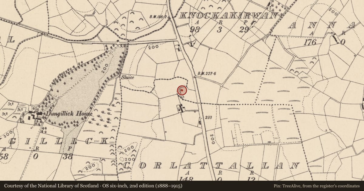Ordnance Survey six-inch map, 2nd edition (1888–1915) covering the location of Ringfort - rath, Corlattallan, Knockakirwan, County Monaghan, with a pin at the register's coordinates
