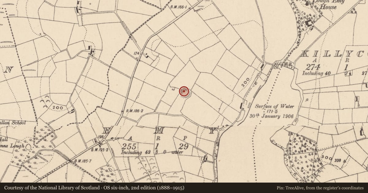 Ordnance Survey six-inch map, 2nd edition (1888–1915) covering the location of Ringfort - rath, Emy, County Monaghan, with a pin at the register's coordinates