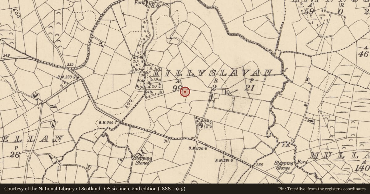 Ordnance Survey six-inch map, 2nd edition (1888–1915) covering the location of Ringfort - rath, Killyslavan, County Monaghan, with a pin at the register's coordinates