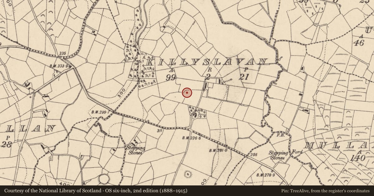 Ordnance Survey six-inch map, 2nd edition (1888–1915) covering the location of Ringfort - rath, Killyslavan, County Monaghan, with a pin at the register's coordinates
