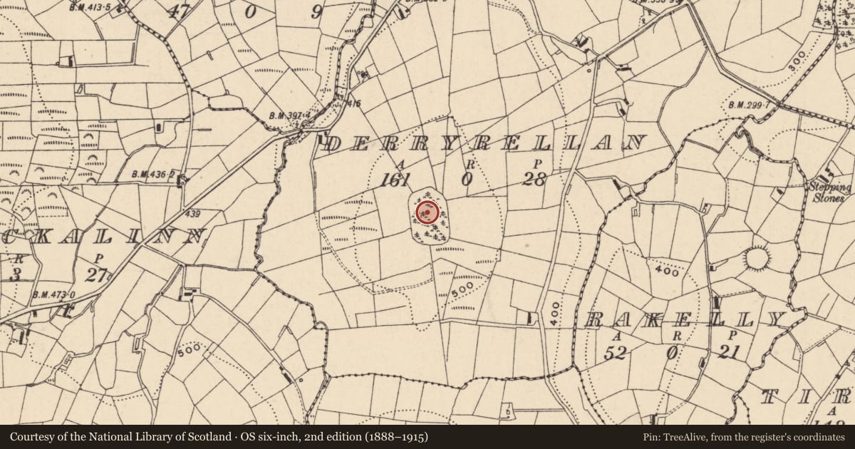 Ordnance Survey six-inch map, 2nd edition (1888–1915) covering the location of Hilltop enclosure, Derryrellan, County Monaghan, with a pin at the register's coordinates
