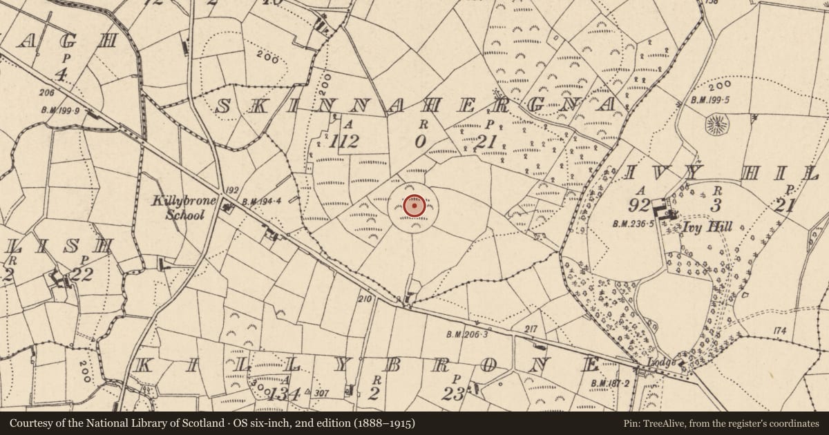 Ordnance Survey six-inch map, 2nd edition (1888–1915) covering the location of Designed landscape feature, Skinnahergna, County Monaghan, with a pin at the register's coordinates
