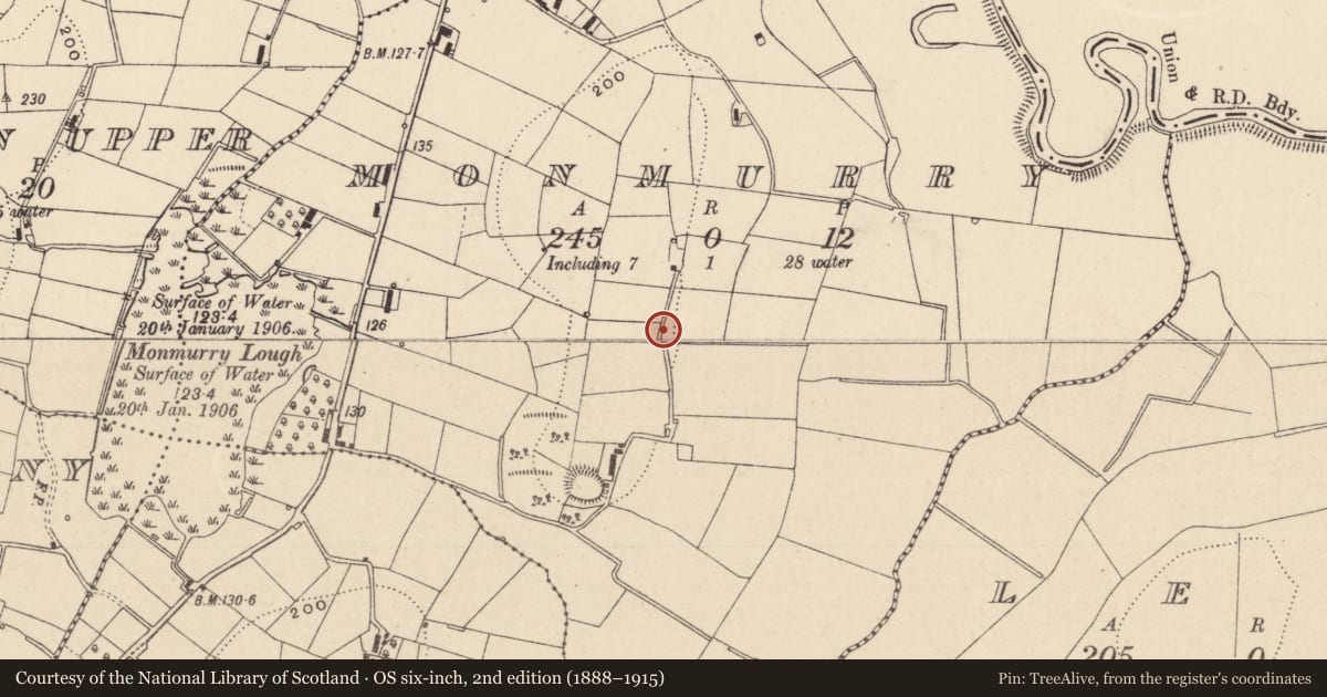 Ordnance Survey six-inch map, 2nd edition (1888–1915) covering the location of Ringfort - rath, Monmurry, County Monaghan, with a pin at the register's coordinates