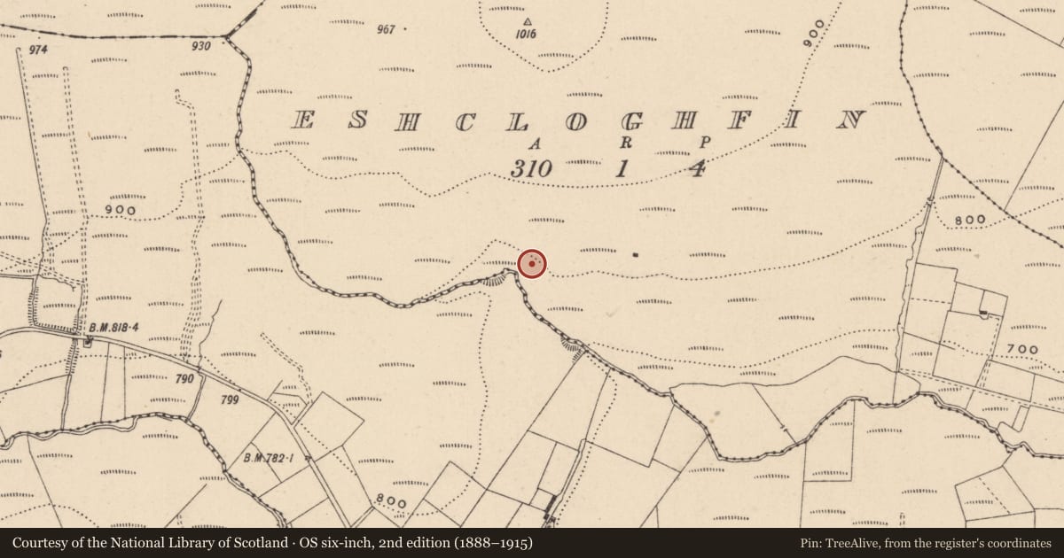 Ordnance Survey six-inch map, 2nd edition (1888–1915) covering the location of Mass-rock, Unknown, Eshcloghfin, County Monaghan, with a pin at the register's coordinates