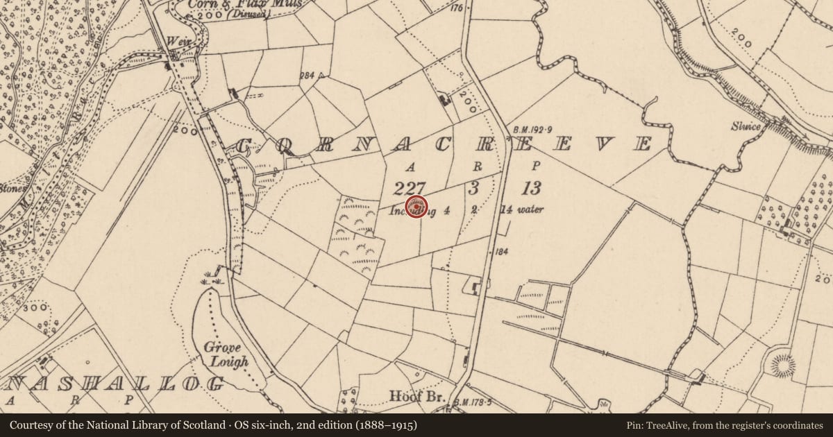 Ordnance Survey six-inch map, 2nd edition (1888–1915) covering the location of Ringfort - rath, Cornacreeve, County Monaghan, with a pin at the register's coordinates