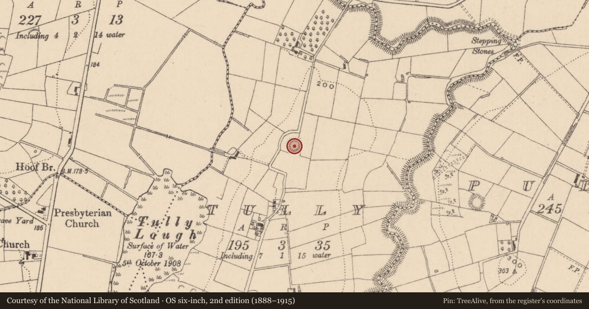 Ordnance Survey six-inch map, 2nd edition (1888–1915) covering the location of Ringfort - rath, Tully (Trough By., Donagh Par.), County Monaghan, with a pin at the register's coordinates