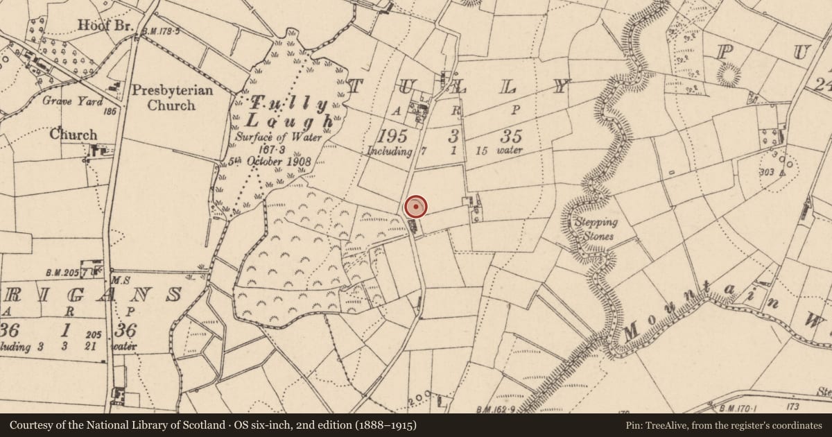 Ordnance Survey six-inch map, 2nd edition (1888–1915) covering the location of Ringfort - rath, Tully (Trough By., Donagh Par.), County Monaghan, with a pin at the register's coordinates