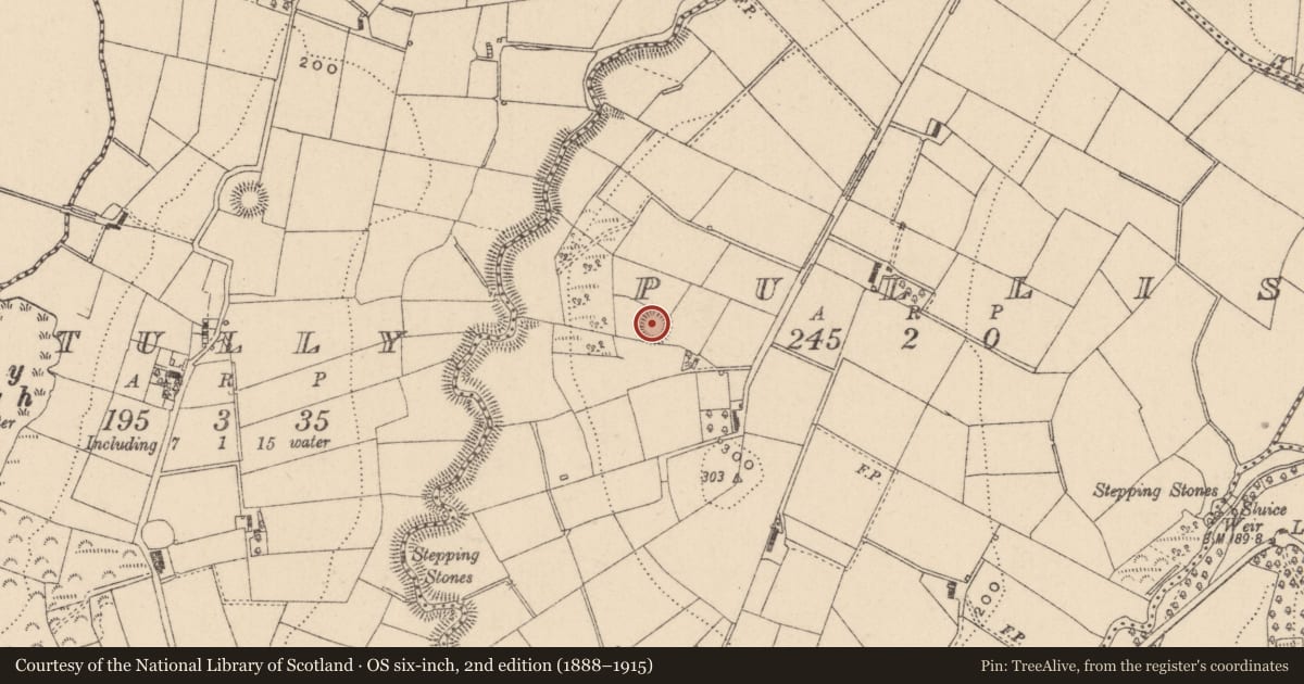 Ordnance Survey six-inch map, 2nd edition (1888–1915) covering the location of Ringfort - rath, Pullis, County Monaghan, with a pin at the register's coordinates