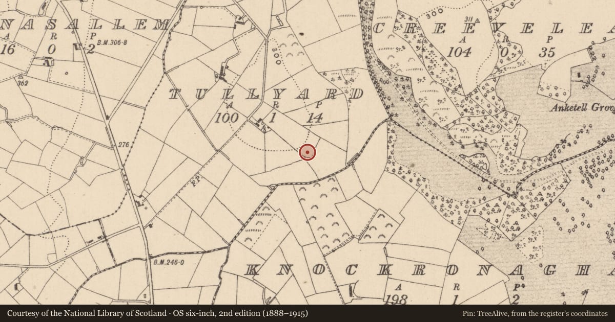 Ordnance Survey six-inch map, 2nd edition (1888–1915) covering the location of Ringfort - rath, Tullyard (Trough By., Donagh Par.), County Monaghan, with a pin at the register's coordinates