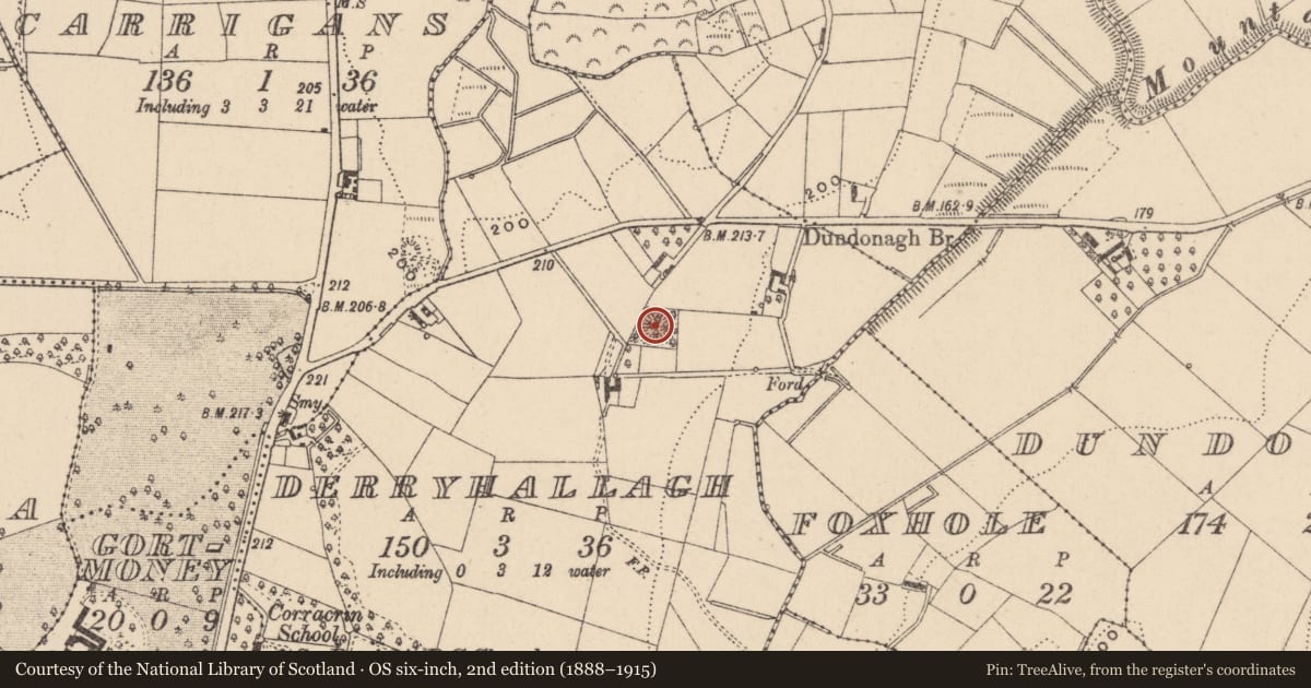 Ordnance Survey six-inch map, 2nd edition (1888–1915) covering the location of Ringfort - rath, Derryhallagh, County Monaghan, with a pin at the register's coordinates