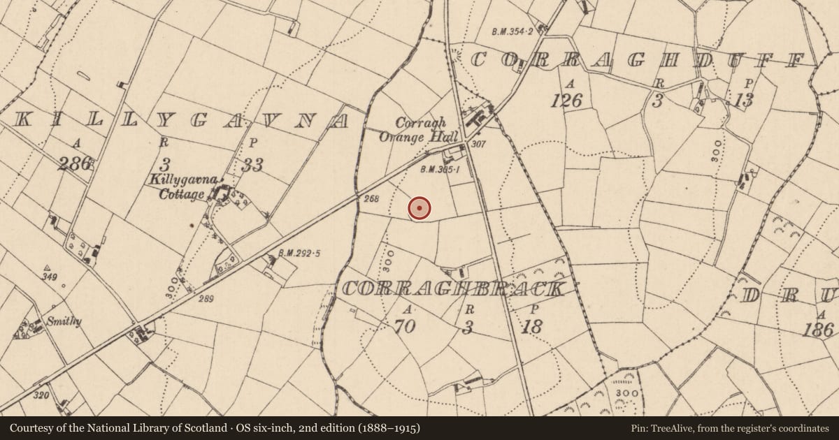 Ordnance Survey six-inch map, 2nd edition (1888–1915) covering the location of Ringfort - rath, Corraghbrack, County Monaghan, with a pin at the register's coordinates