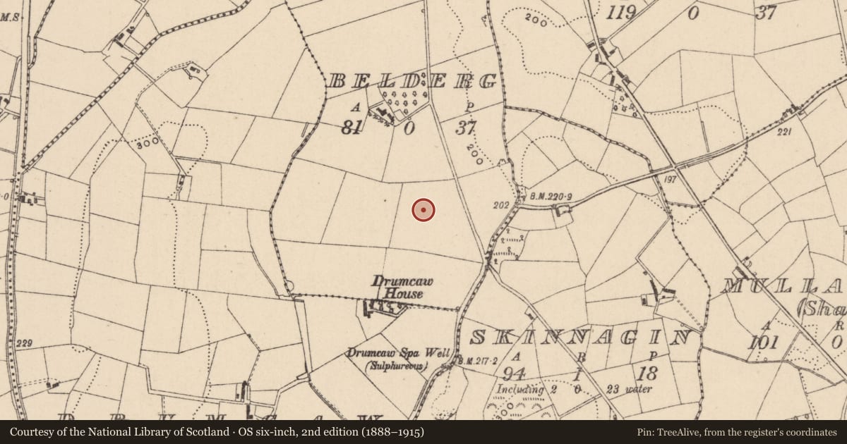Ordnance Survey six-inch map, 2nd edition (1888–1915) covering the location of Enclosure, Belderg, County Monaghan, with a pin at the register's coordinates