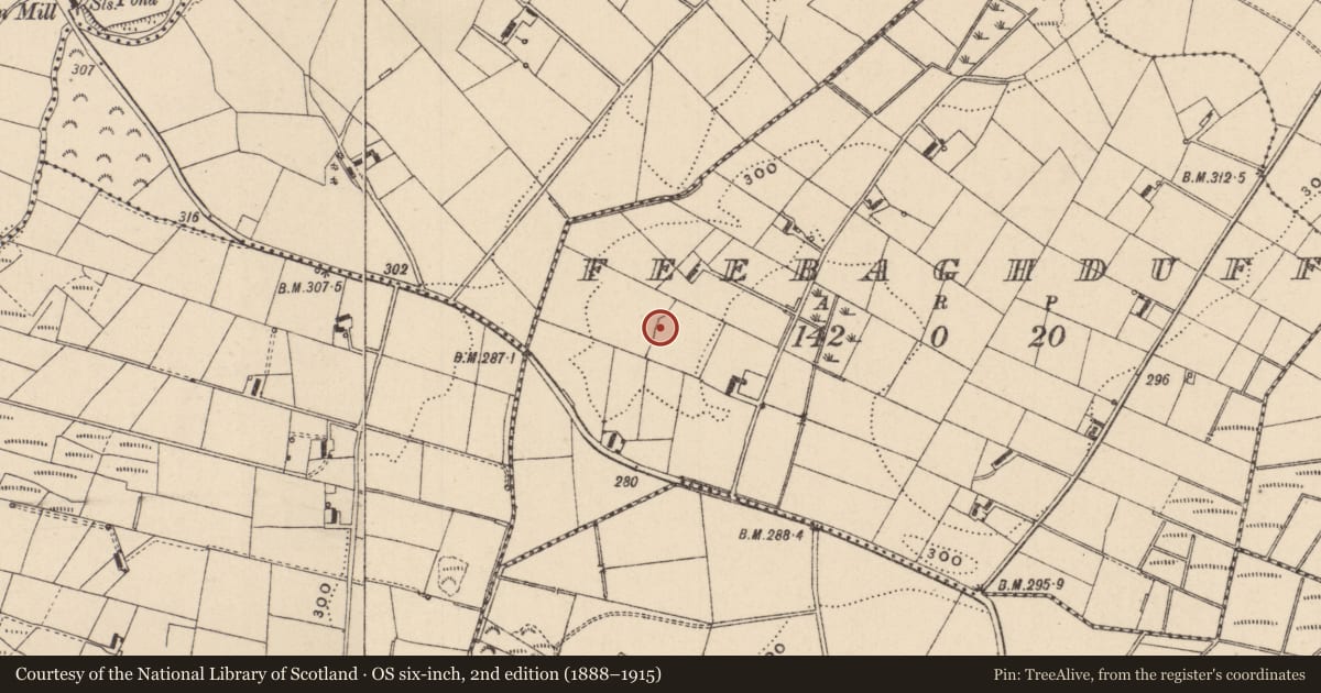 Ordnance Survey six-inch map, 2nd edition (1888–1915) covering the location of Ringfort - rath, Feebaghduff, County Monaghan, with a pin at the register's coordinates