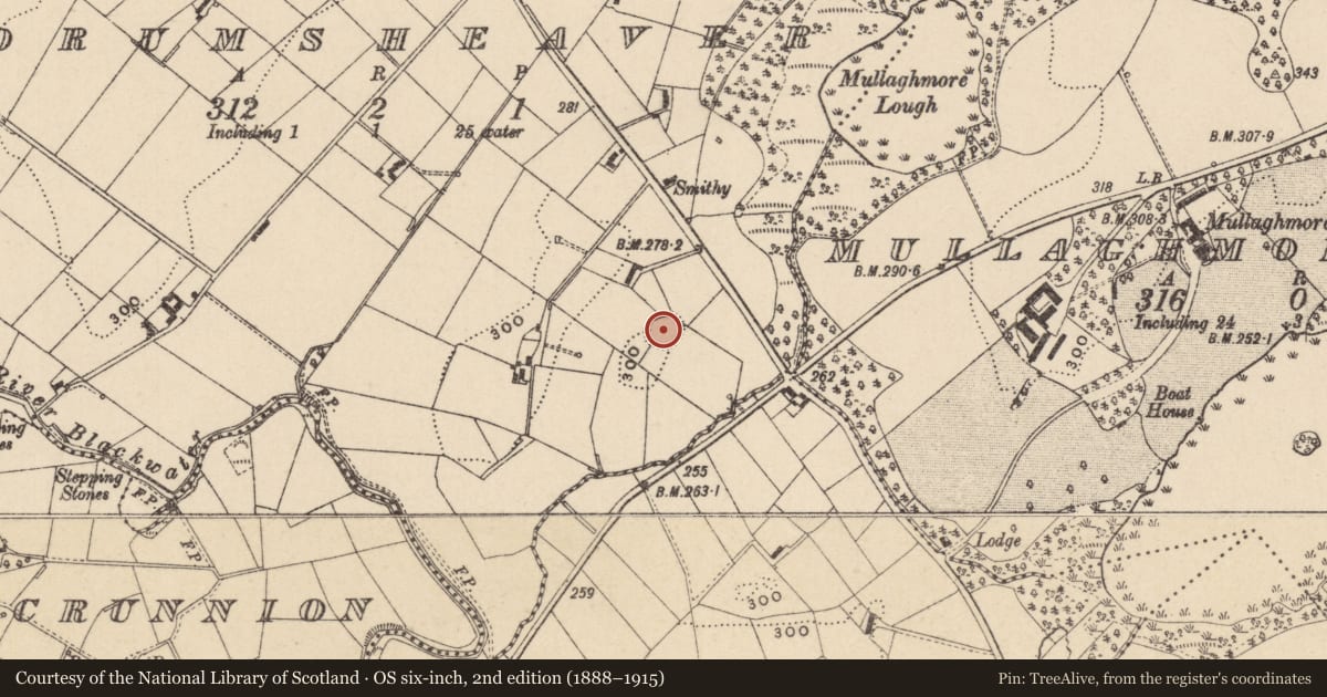 Ordnance Survey six-inch map, 2nd edition (1888–1915) covering the location of Ringfort - rath, Drumsheaver, County Monaghan, with a pin at the register's coordinates
