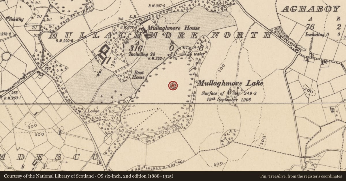 Ordnance Survey six-inch map, 2nd edition (1888–1915) covering the location of Crannog, Mullaghmore North, County Monaghan, with a pin at the register's coordinates