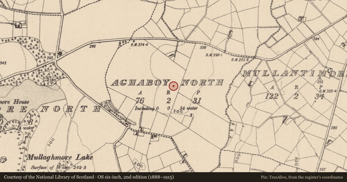 Ordnance Survey six-inch map, 2nd edition (1888–1915) covering the location of Ringfort - rath, Aghaboy North, County Monaghan, with a pin at the register's coordinates