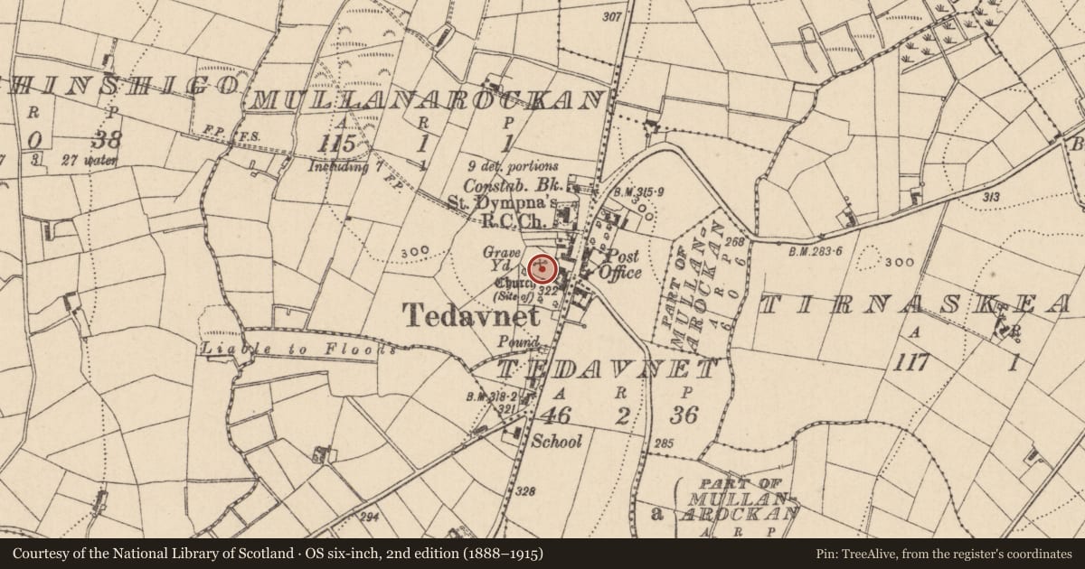 Ordnance Survey six-inch map, 2nd edition (1888–1915) covering the location of Cupmarked stone, Mullanarockan, County Monaghan, with a pin at the register's coordinates