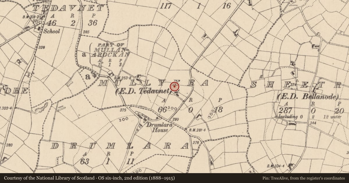 Ordnance Survey six-inch map, 2nd edition (1888–1915) covering the location of Ringfort - rath, Mullyera (Monaghan By, County Monaghan, with a pin at the register's coordinates
