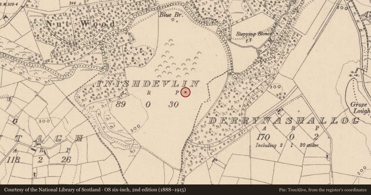 Ordnance Survey six-inch map, 2nd edition (1888–1915) covering the location of Burial mound, Inishdevlin, County Monaghan, with a pin at the register's coordinates
