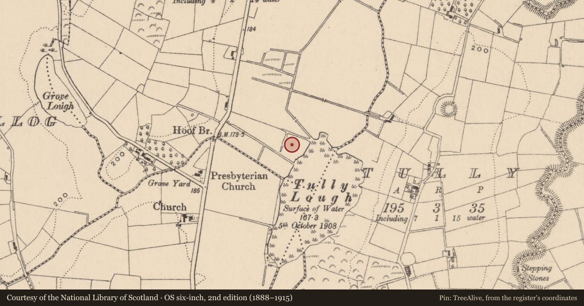 Ordnance Survey six-inch map, 2nd edition (1888–1915) covering the location of Crannog, Cornacreeve, County Monaghan, with a pin at the register's coordinates