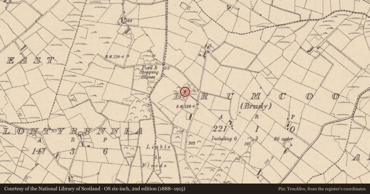 Ordnance Survey six-inch map, 2nd edition (1888–1915) covering the location of Ringfort - rath, Drumcoo (Brady), County Monaghan, with a pin at the register's coordinates
