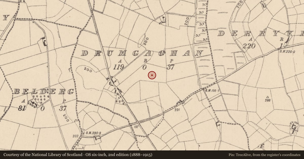 Ordnance Survey six-inch map, 2nd edition (1888–1915) covering the location of Enclosure, Drumgaghan, County Monaghan, with a pin at the register's coordinates