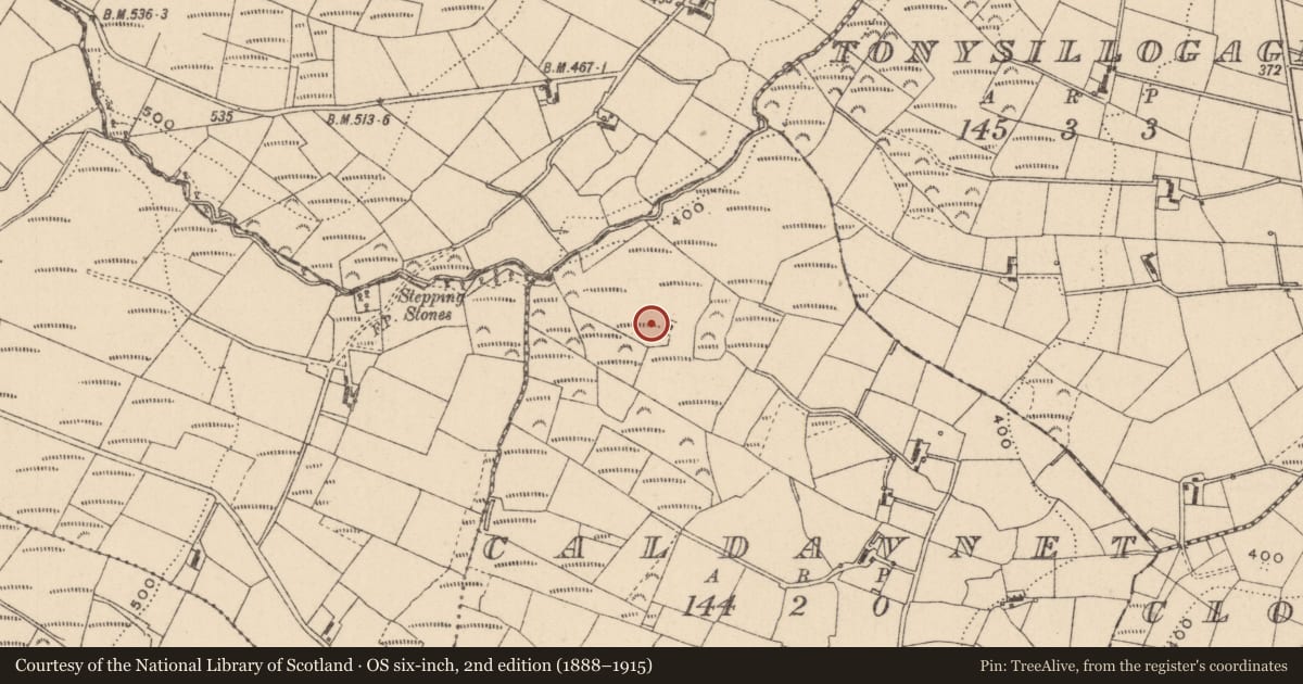 Ordnance Survey six-inch map, 2nd edition (1888–1915) covering the location of Ritual site - holy well, Caldavnet, County Monaghan, with a pin at the register's coordinates