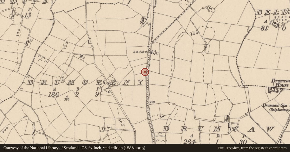 Ordnance Survey six-inch map, 2nd edition (1888–1915) covering the location of Fulacht fia, Drumgeeny, County Monaghan, with a pin at the register's coordinates