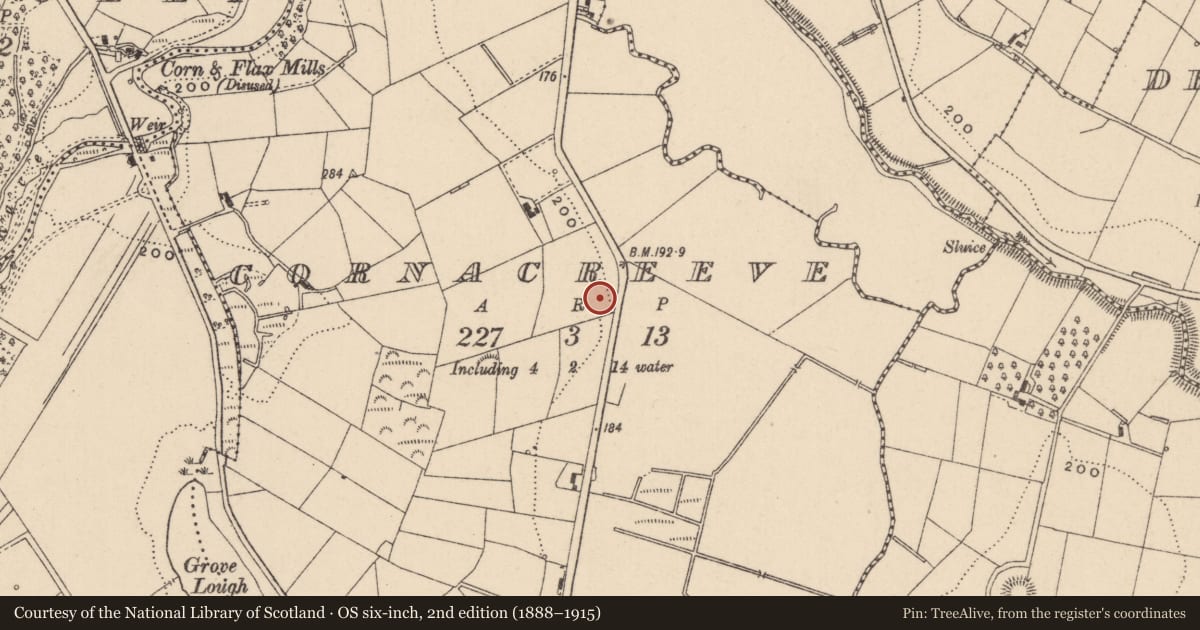 Ordnance Survey six-inch map, 2nd edition (1888–1915) covering the location of Burnt pit, Cornacreeve, County Monaghan, with a pin at the register's coordinates