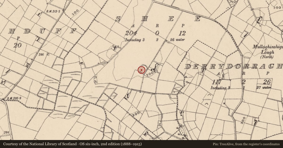 Ordnance Survey six-inch map, 2nd edition (1888–1915) covering the location of Ringfort - rath, Shee, County Monaghan, with a pin at the register's coordinates