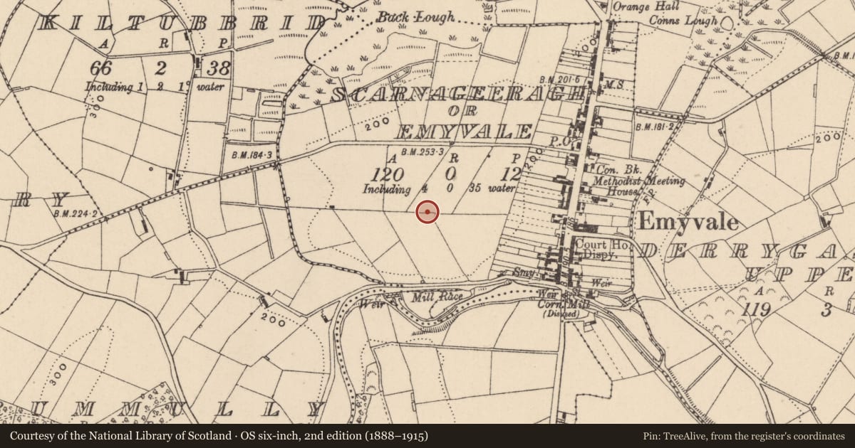 Ordnance Survey six-inch map, 2nd edition (1888–1915) covering the location of Ringfort - rath, Scarnageeragh Or Emyvale, County Monaghan, with a pin at the register's coordinates