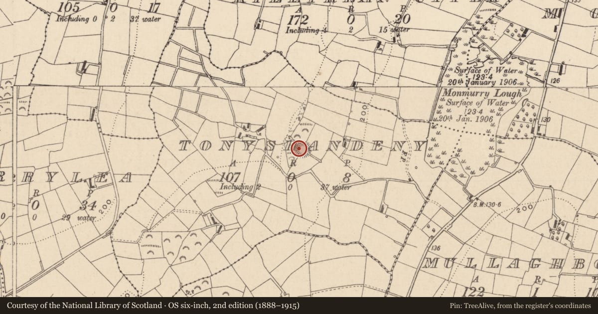 Ordnance Survey six-inch map, 2nd edition (1888–1915) covering the location of Ringfort - rath, Tonyshandeny, County Monaghan, with a pin at the register's coordinates