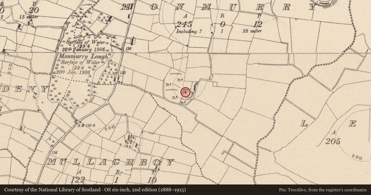 Ordnance Survey six-inch map, 2nd edition (1888–1915) covering the location of Ringfort - rath, Monmurry, County Monaghan, with a pin at the register's coordinates