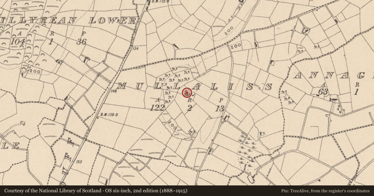Ordnance Survey six-inch map, 2nd edition (1888–1915) covering the location of Ringfort - rath, Mullaliss, County Monaghan, with a pin at the register's coordinates