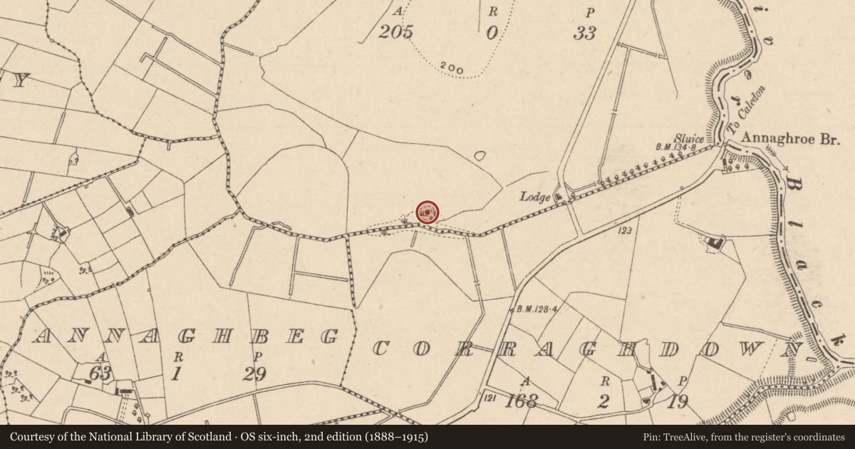 Ordnance Survey six-inch map, 2nd edition (1888–1915) covering the location of Enclosure, Leek, County Monaghan, with a pin at the register's coordinates