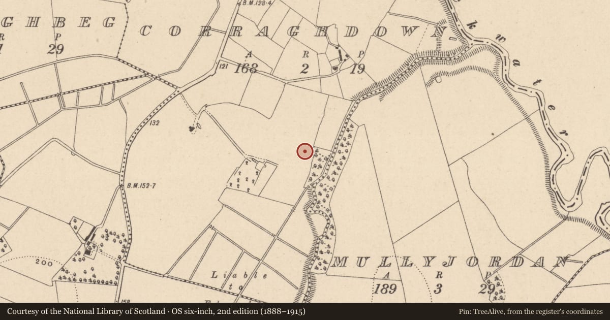 Ordnance Survey six-inch map, 2nd edition (1888–1915) covering the location of Ringfort - rath, Corraghdown, County Monaghan, with a pin at the register's coordinates