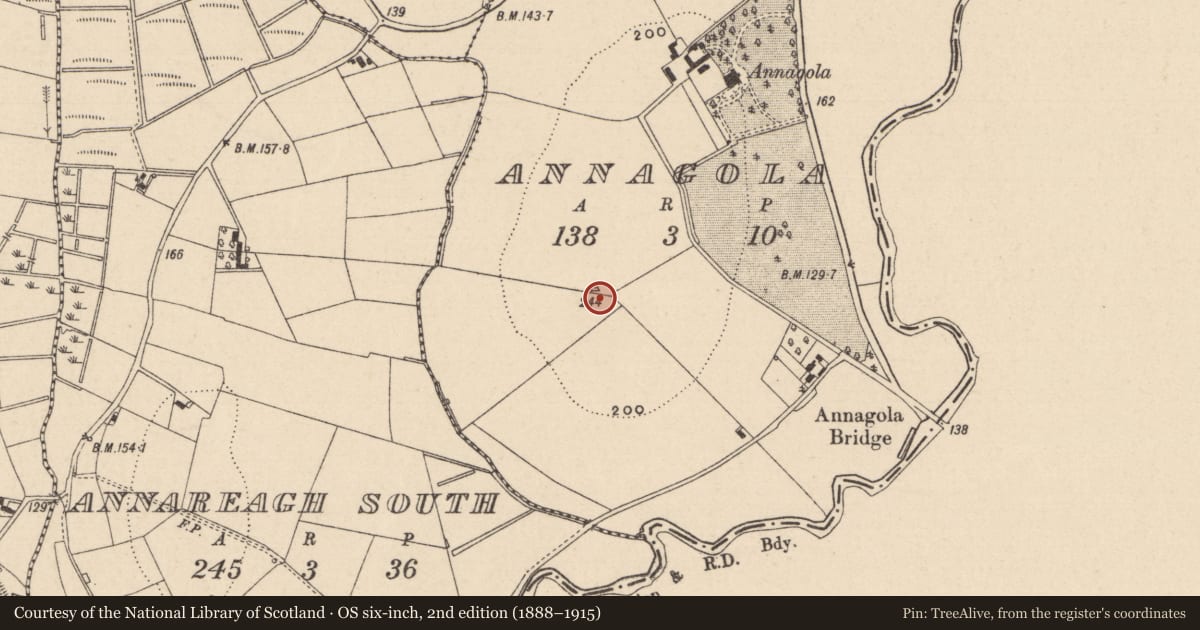 Ordnance Survey six-inch map, 2nd edition (1888–1915) covering the location of Ringfort - rath, Annagola (Trough by, County Monaghan, with a pin at the register's coordinates
