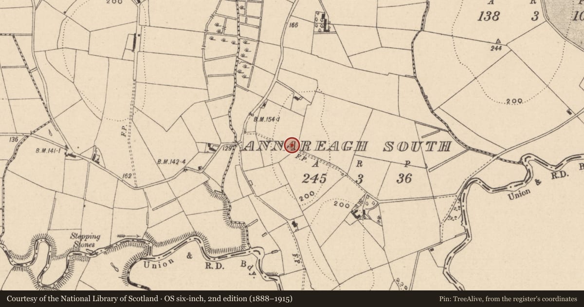 Ordnance Survey six-inch map, 2nd edition (1888–1915) covering the location of Ringfort - rath, Annareagh South, County Monaghan, with a pin at the register's coordinates