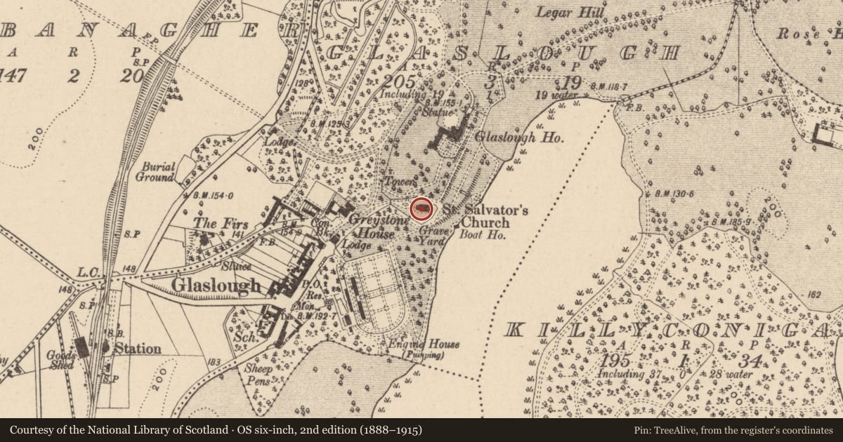 Ordnance Survey six-inch map, 2nd edition (1888–1915) covering the location of Graveslab, Glaslough, County Monaghan, with a pin at the register's coordinates