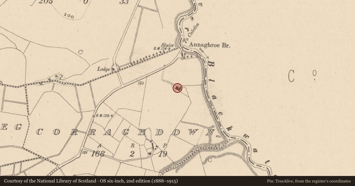 Ordnance Survey six-inch map, 2nd edition (1888–1915) covering the location of Armorial plaque, Corraghdown, County Monaghan, with a pin at the register's coordinates