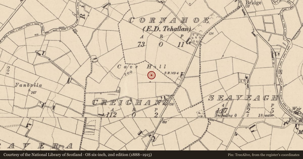 Ordnance Survey six-inch map, 2nd edition (1888–1915) covering the location of Souterrain, Creighans, County Monaghan, with a pin at the register's coordinates