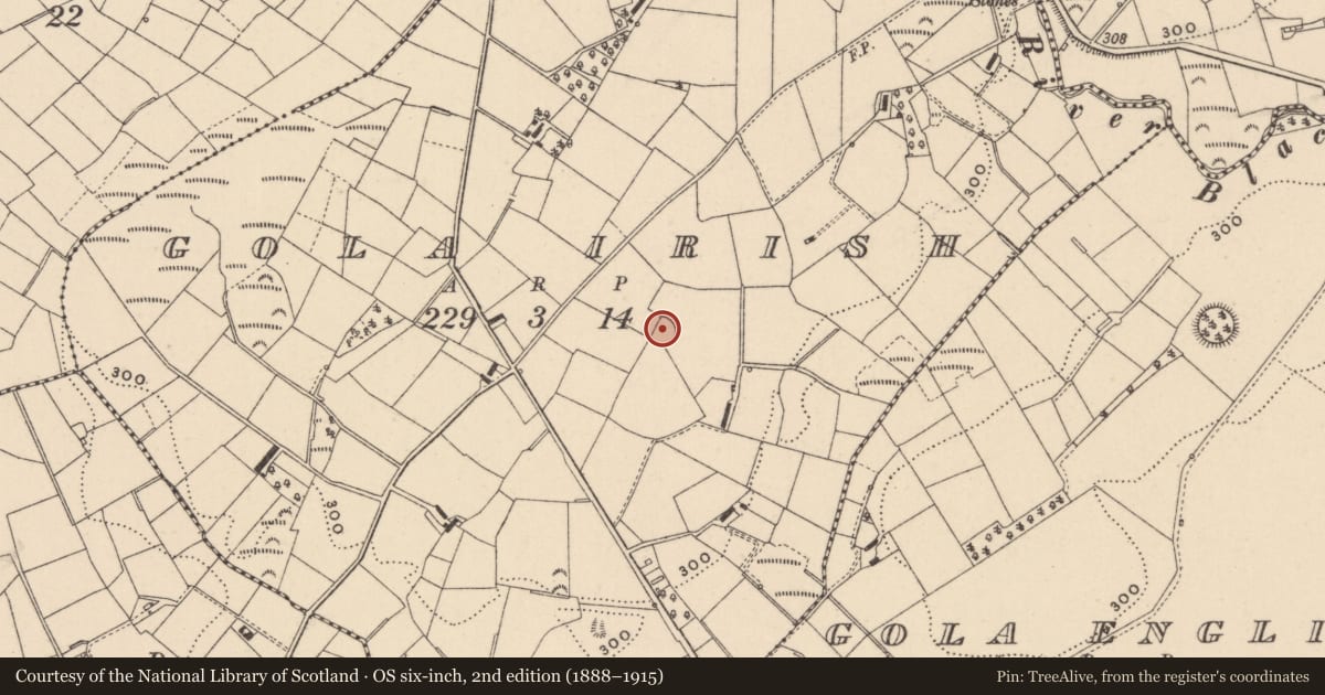 Ordnance Survey six-inch map, 2nd edition (1888–1915) covering the location of Ringfort - rath, Gola Irish, County Monaghan, with a pin at the register's coordinates