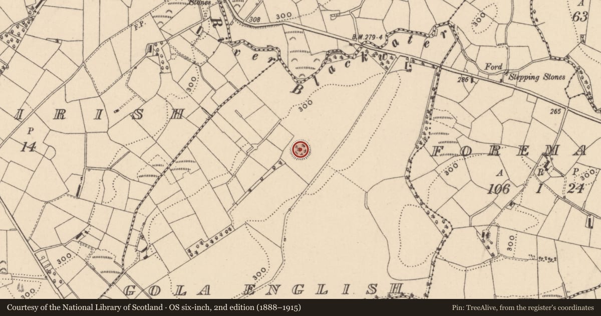 Ordnance Survey six-inch map, 2nd edition (1888–1915) covering the location of Ringfort - rath, Gola English, County Monaghan, with a pin at the register's coordinates