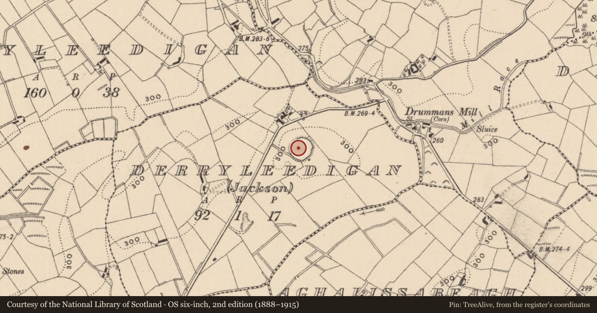 Ordnance Survey six-inch map, 2nd edition (1888–1915) covering the location of Ringfort - rath, Derryleedigan (Jackson), County Monaghan, with a pin at the register's coordinates