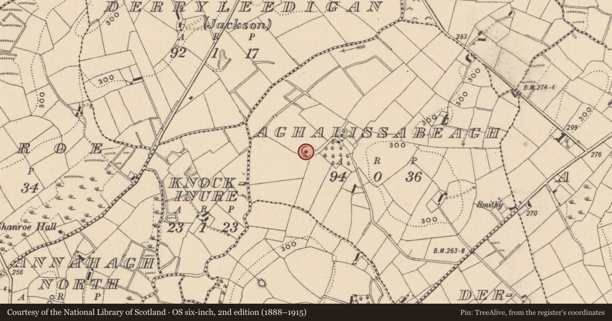 Ordnance Survey six-inch map, 2nd edition (1888–1915) covering the location of Ringfort - rath, Aghalissabeagh, County Monaghan, with a pin at the register's coordinates