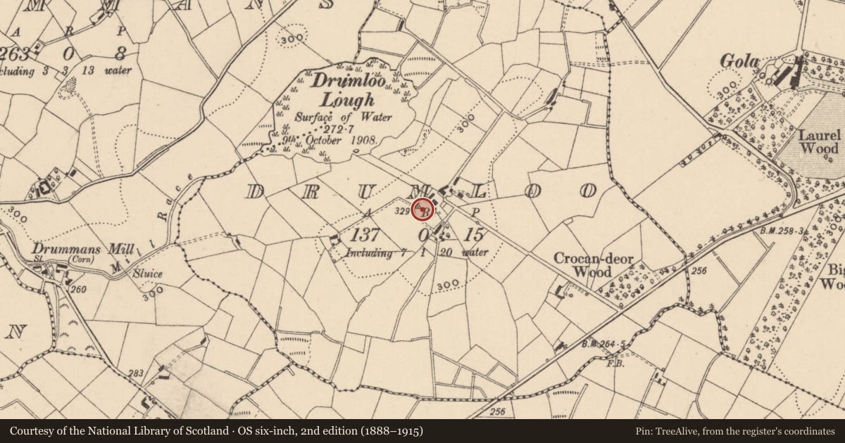 Ordnance Survey six-inch map, 2nd edition (1888–1915) covering the location of Ringfort - rath, Drumloo, County Monaghan, with a pin at the register's coordinates