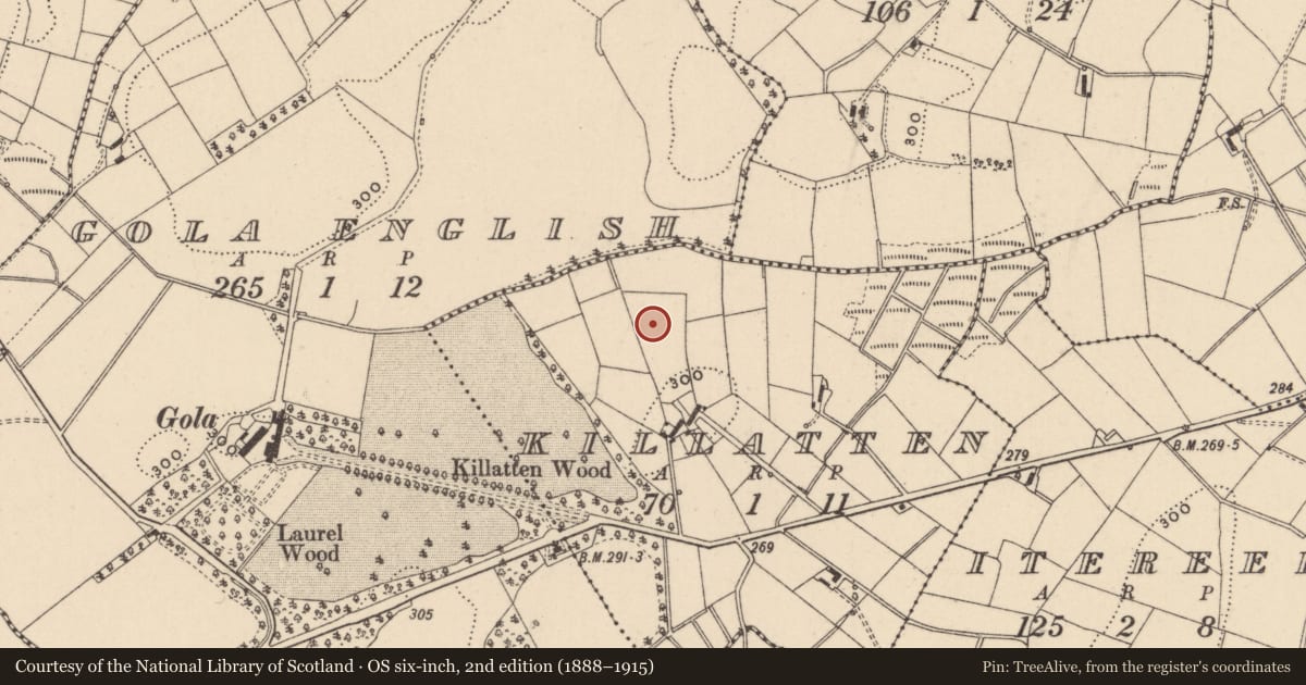 Ordnance Survey six-inch map, 2nd edition (1888–1915) covering the location of Burial ground, Killatten, County Monaghan, with a pin at the register's coordinates