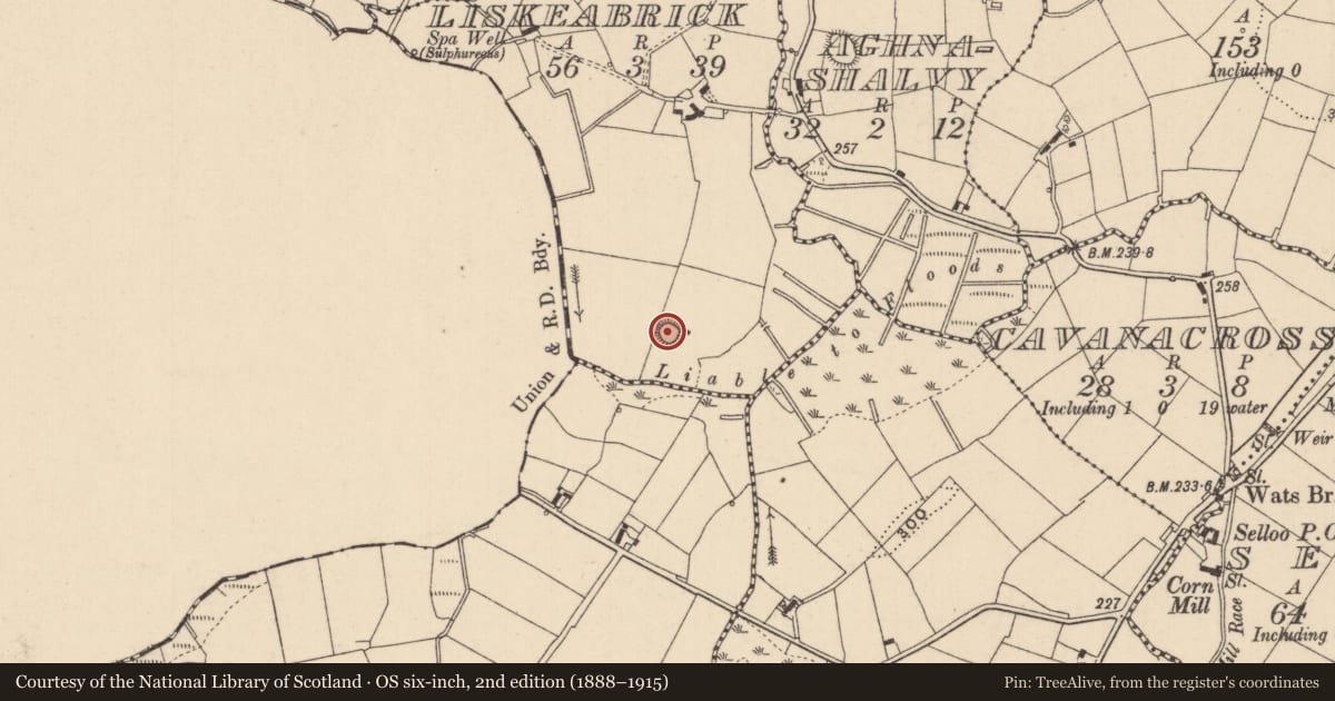 Ordnance Survey six-inch map, 2nd edition (1888–1915) covering the location of Ringfort - rath, Liskeabrick, County Monaghan, with a pin at the register's coordinates